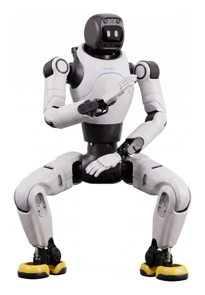 AgiBot X2 Neo
