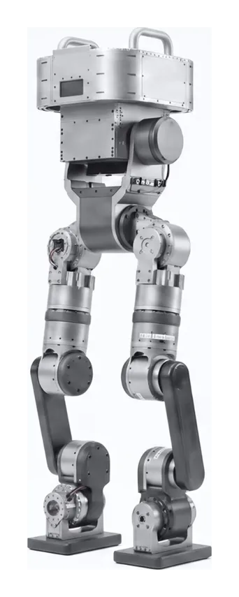 Diden Robotics Walker