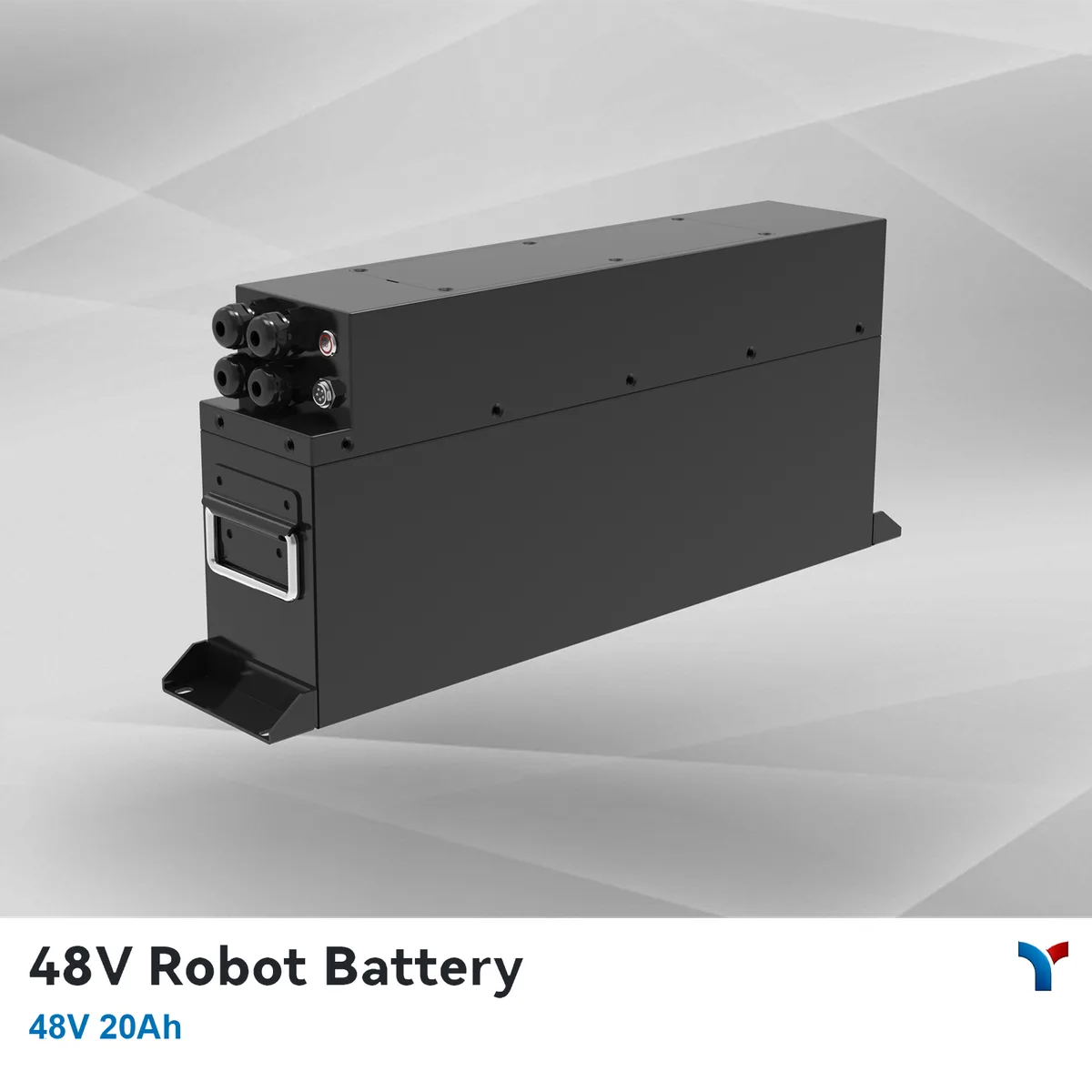 LYBATT (Lead-Win) 48V 20Ah LiFePO4 Battery