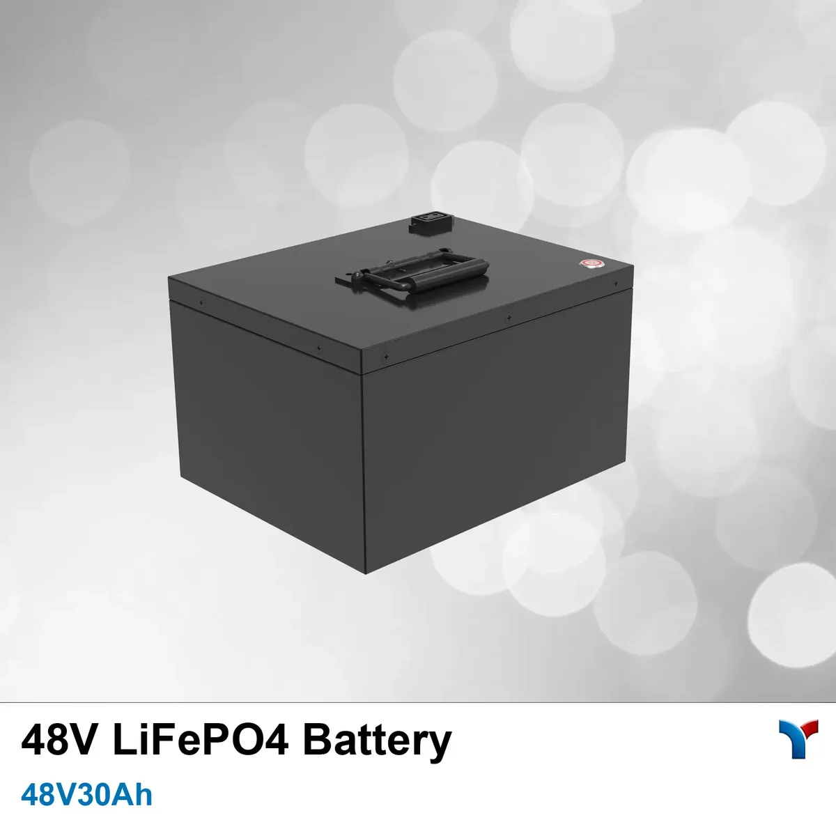 LYBATT (Lead-Win) 48V 30Ah LiFePO4 Battery