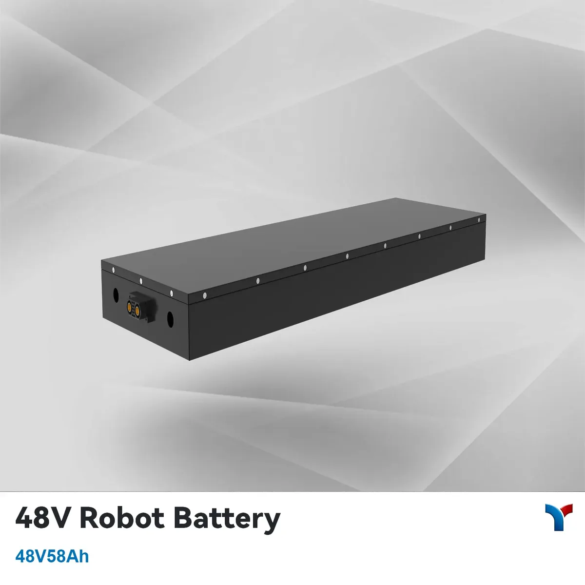LYBATT (Lead-Win) 48V 58Ah LiFePO4 Battery