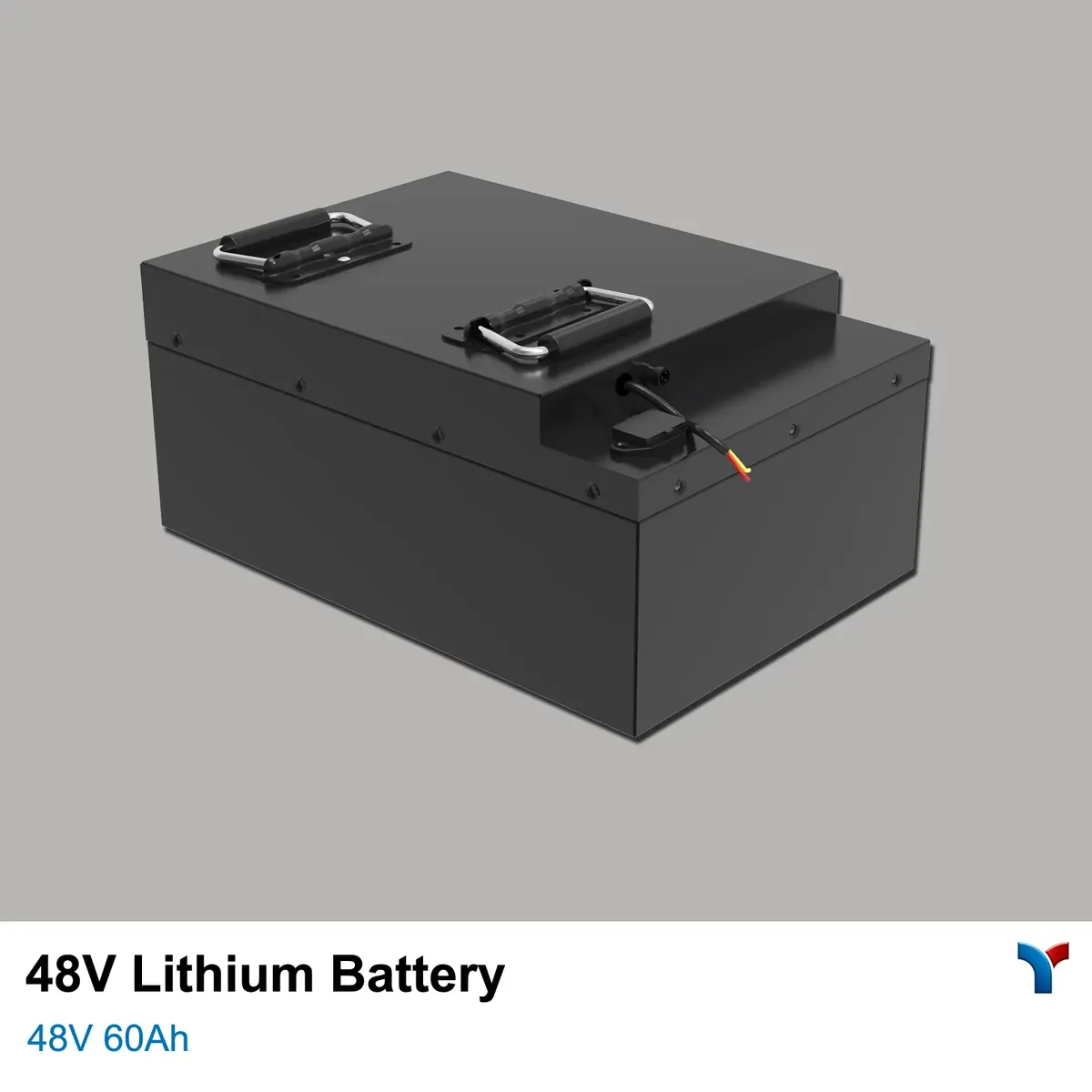 LYBATT (Lead-Win) 48V 60Ah LiFePO4 Battery