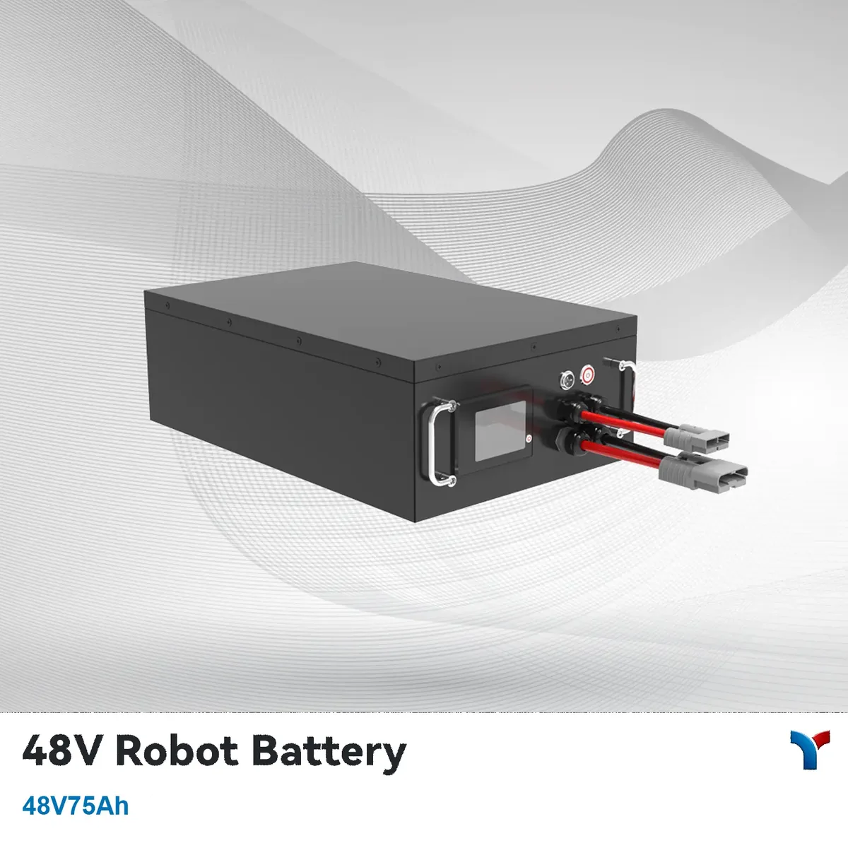 LYBATT (Lead-Win) 48V 75Ah LiFePO4 Battery