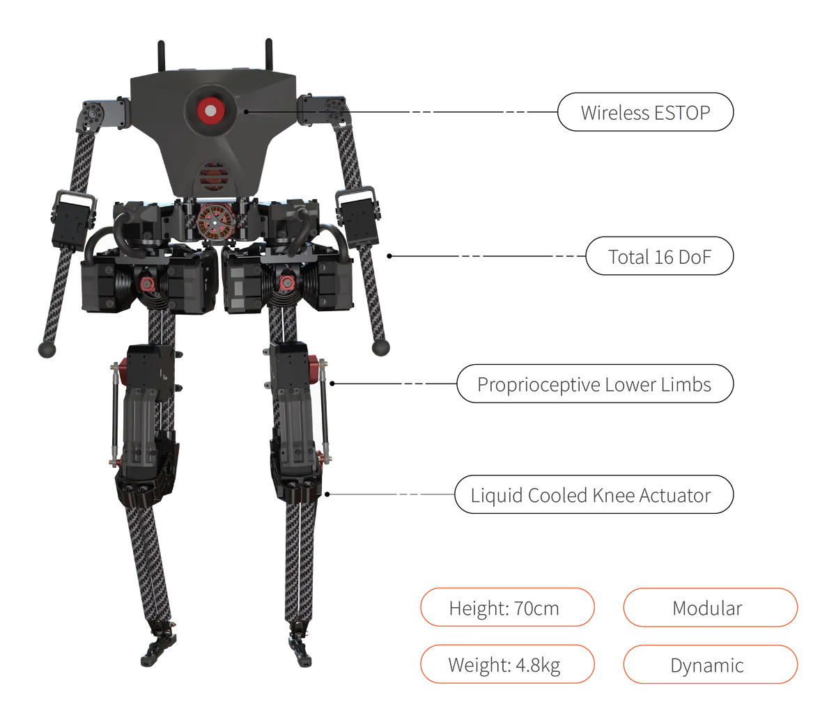 Westwood Robotics BRUCE